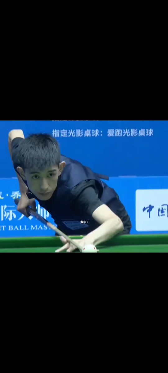 职业生涯的 职业生涯的