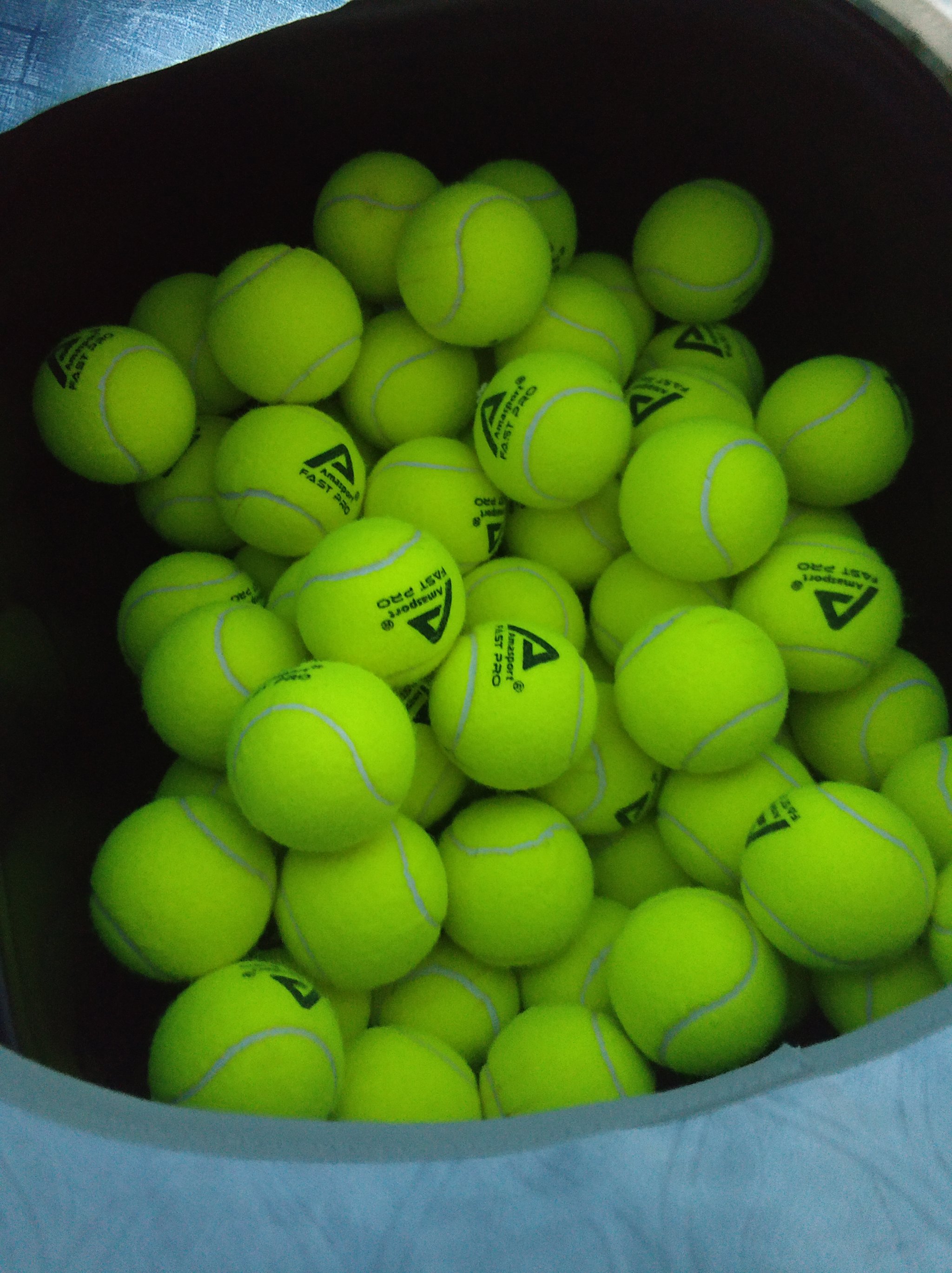 能在世界杯 能在世界杯