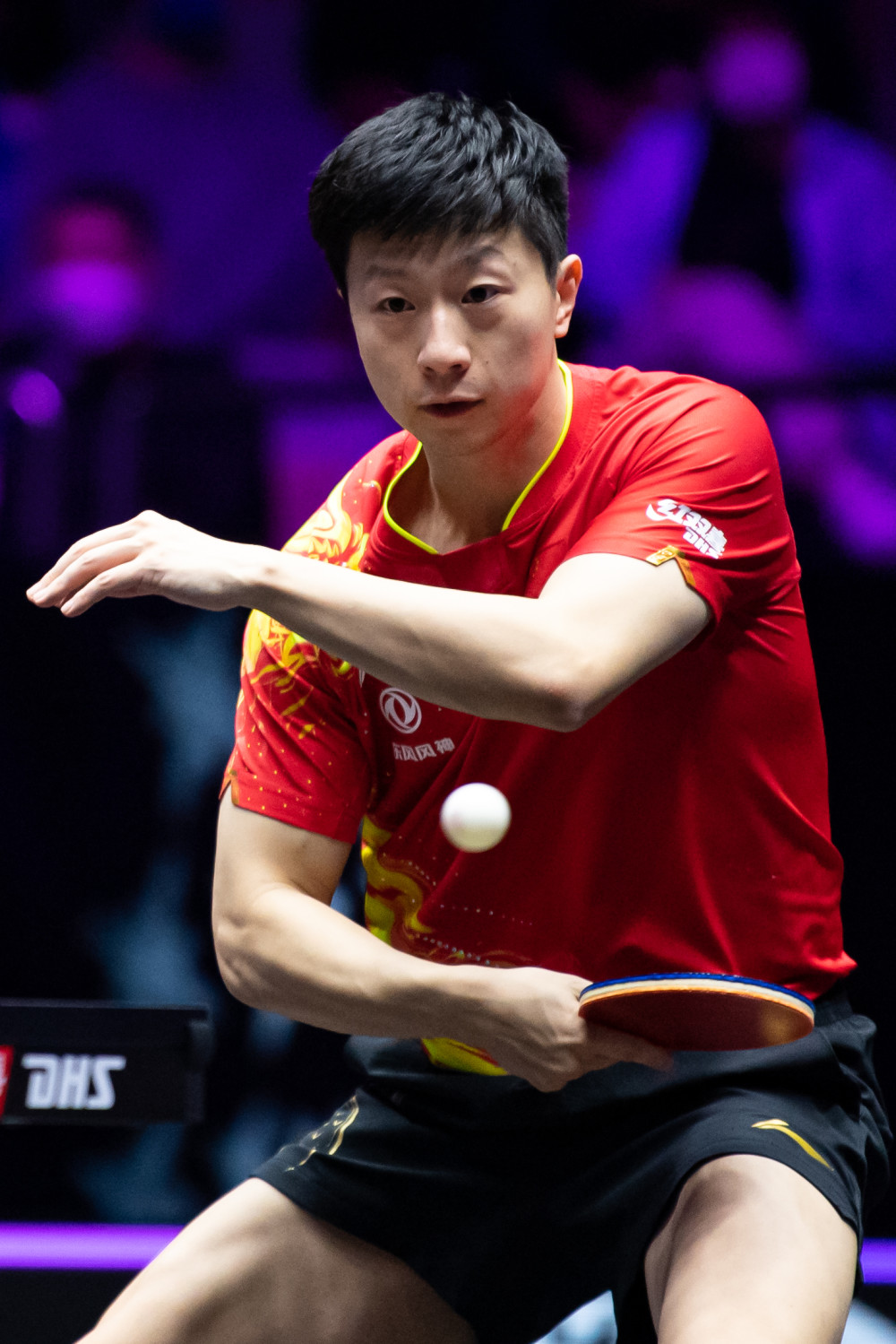 速从容过人 速从容过人